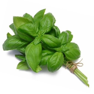 Foto de Semillas de Albahaca Grande Verde