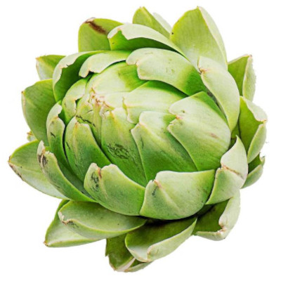 Foto de Semillas de Alcachofa 