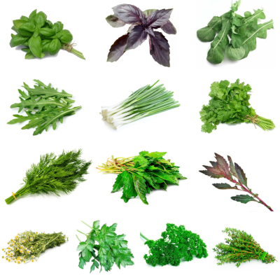 Foto de Semillas de Hierbas Aromáticas 13 var