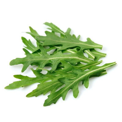 Foto de Semillas de Arugula Wild Rocket