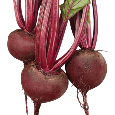 Foto de Semillas de Betabel Early Wonder