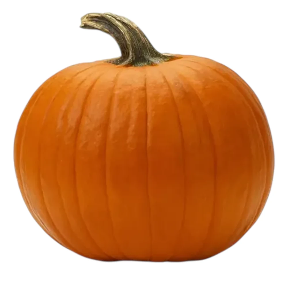 Foto de Semillas de Calabaza Connecticut