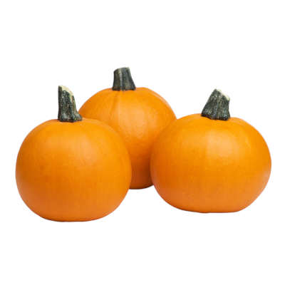 Foto de Semillas de Calabaza Small Sugar Pie