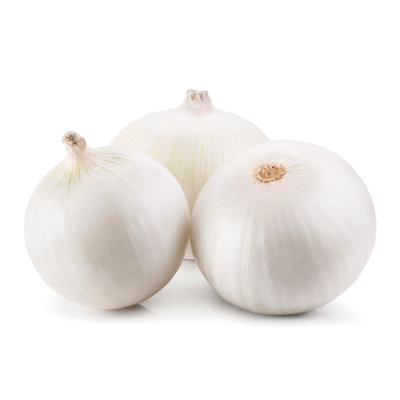 Foto de Semillas de Cebolla Grano Blanco