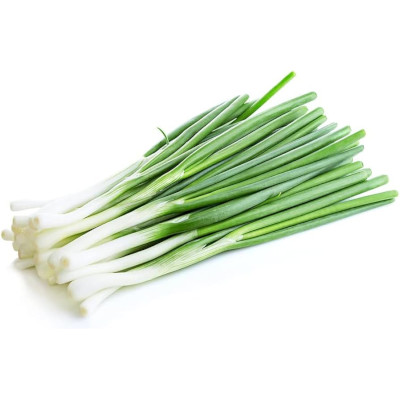 Foto de Semillas de Cebollin Tokyo