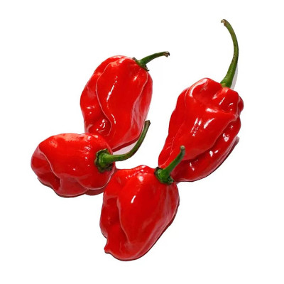 Foto de Semillas de Chile Habanero Rojo