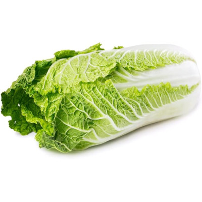 Foto de Semillas de Col China 