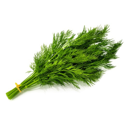 Foto de Semillas de Eneldo 