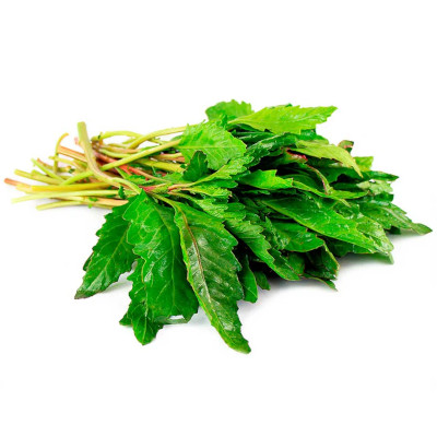 Foto de Semillas de Epazote