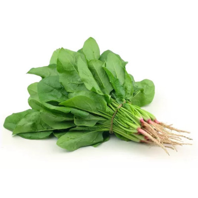 Foto de Semillas de Espinaca