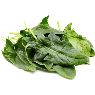 Foto de Semillas de Espinaca Flamingo