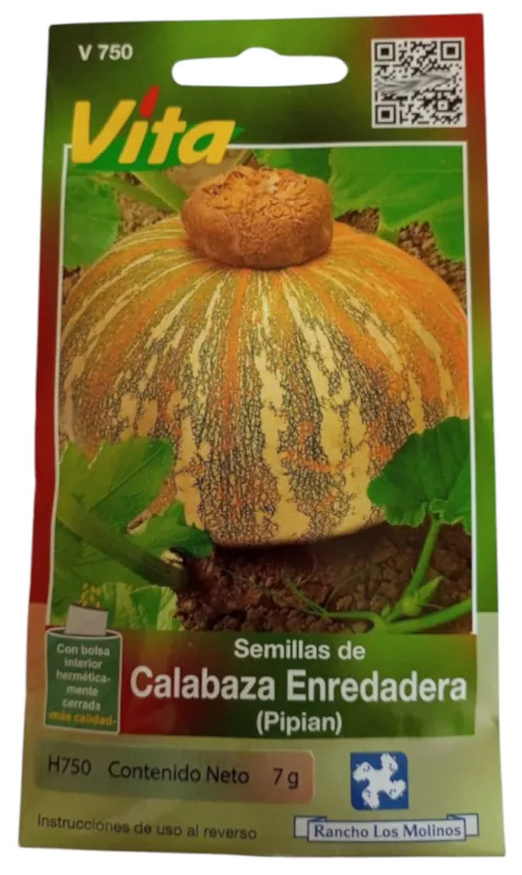 Foto de Semillas de Calabaza Pipian HORTAFLOR