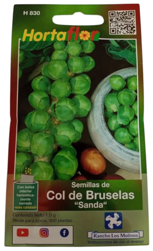 Foto de Semillas de Col de Bruselas HORTAFLOR