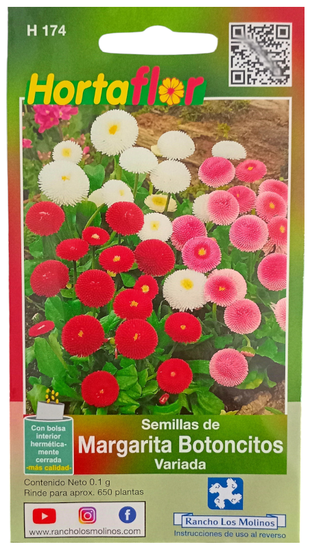 Foto de Semillas de Margarita Botoncitos HORTAFLOR