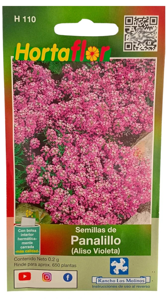 Foto de Semillas de Panalillo Violeta HORTAFLOR