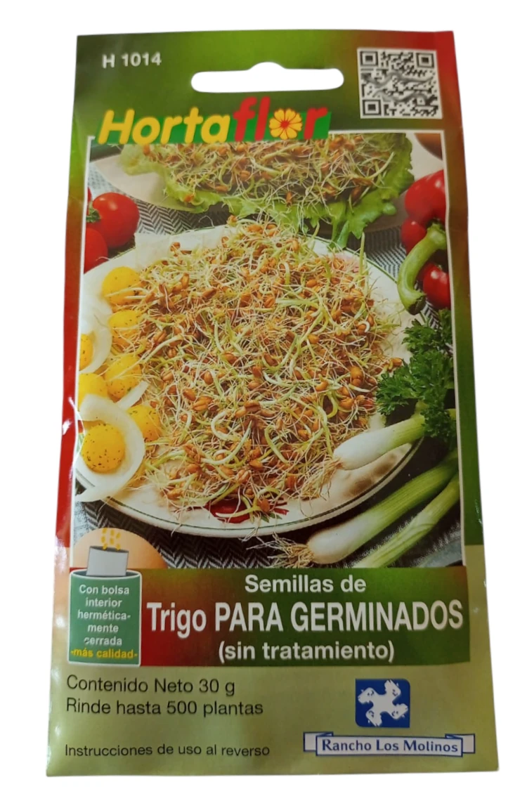 Foto de Semillas de Trigo para germinados HORTAFLOR