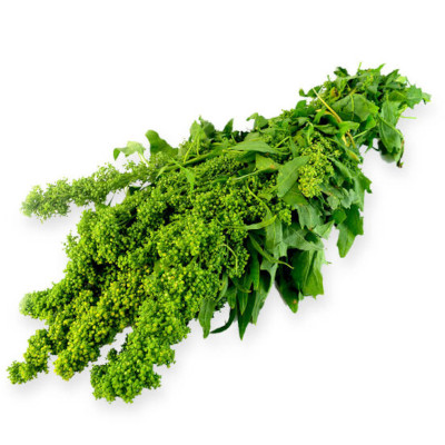 Foto de Semillas de Huazontle