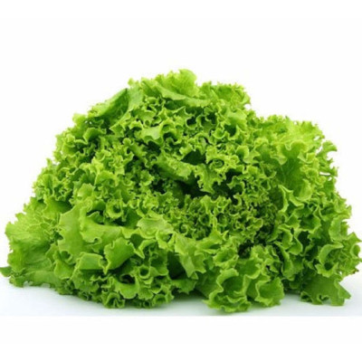 Foto de Semillas de Lechuga Green Salad Bowl