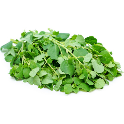 Foto de Semillas de Pápalo