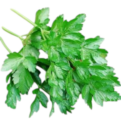 Foto de Semillas de Perejil