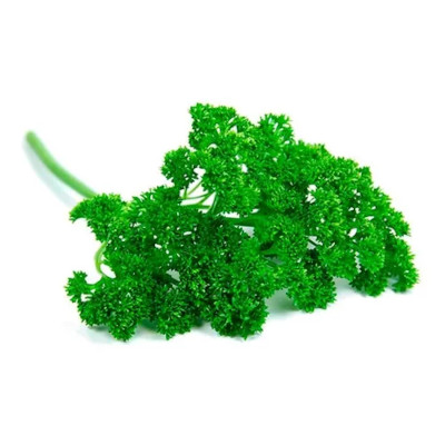 Foto de Semillas de Perejil Chino