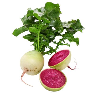 Foto de Semillas de Rábano Sandía