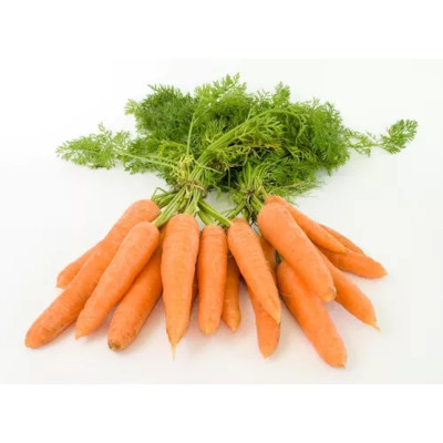 Foto de Semillas de Zanahoria